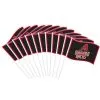 Arizona Diamondbacks Mini Flags 12ct