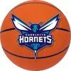 Charlotte Hornets Cutout