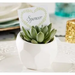 Succulent White Geometric Planters