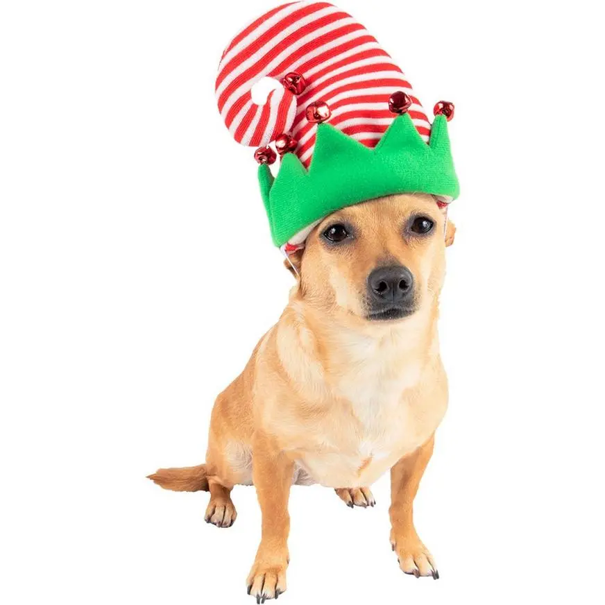 Elf Dog Hat