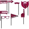 Arizona Cardinals Photo Booth Props 9ct