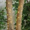 Warm White LED String Lights, 100 3mm Bulbs, 37ft