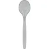 Silver Plastic Serving Spoon