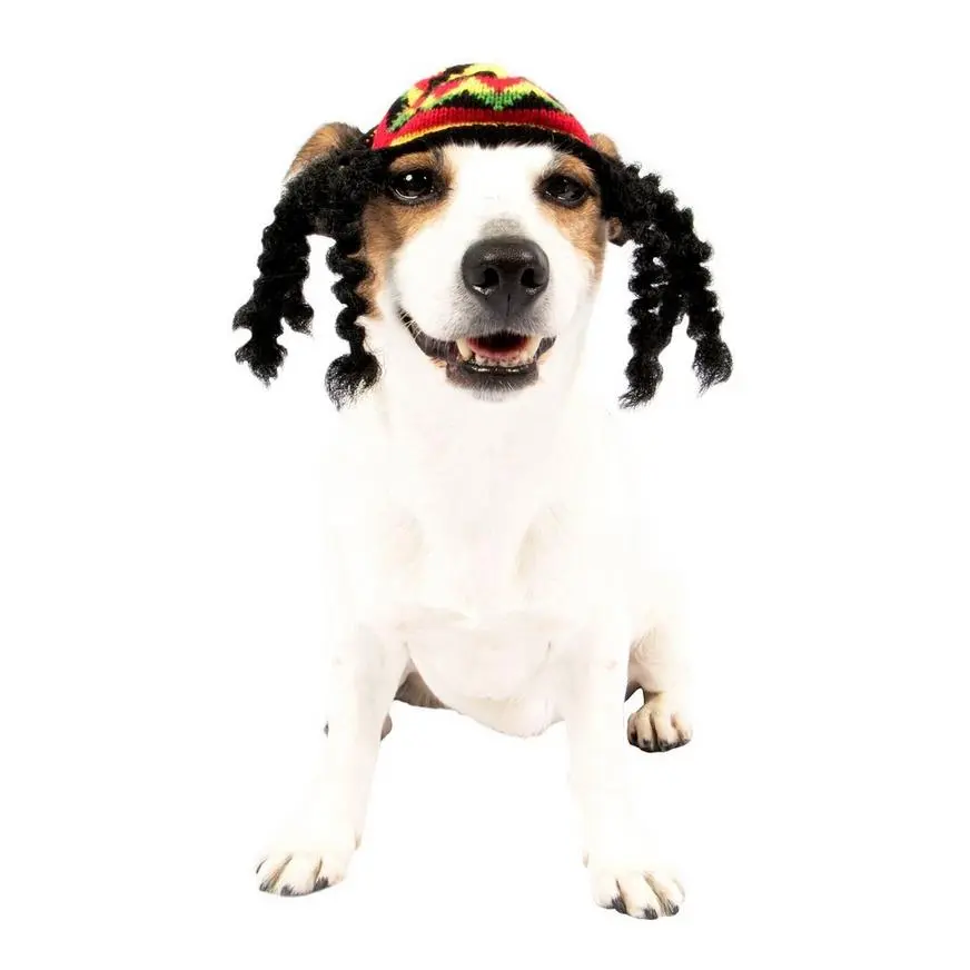 Rasta Dog Costume