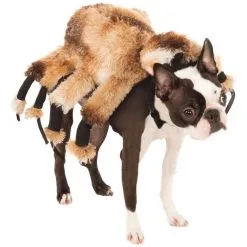 RUBIES COSTUME Giant Spider Dog Costume