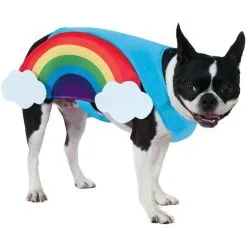 Rainbow Dog Costume