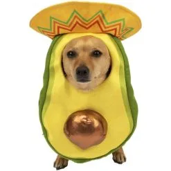 Avocado Sombrero Costume For Dogs