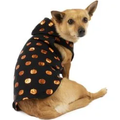Glowing Pumpkins Halloween Hoodie For Dogs