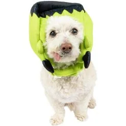 Party City Frankenstein's Monster Dog Hat