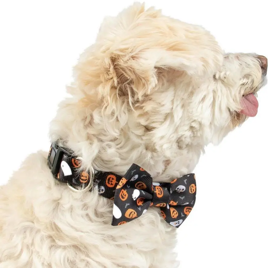 Party City Halloween Icons Bow Tie Dog Collar - Image 2