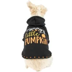 Party City Mommy's Little Pumpkin Dog Hoodie